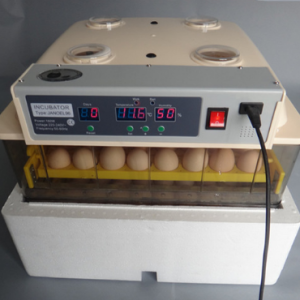 48 eggs incubator