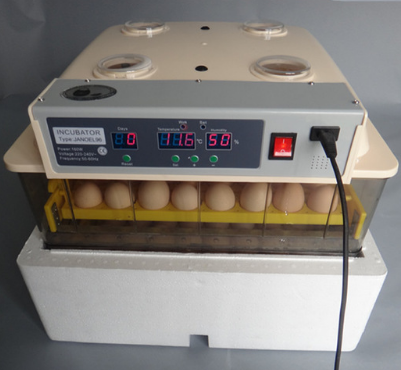 48 eggs incubator