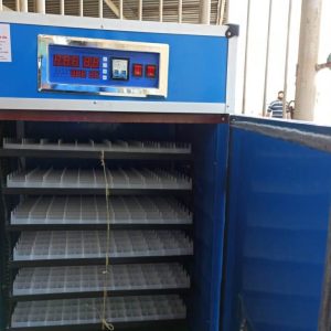 528 eggs hatching incubator with 1 year warranty