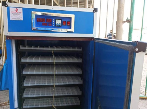 528 eggs hatching incubator with 1 year warranty