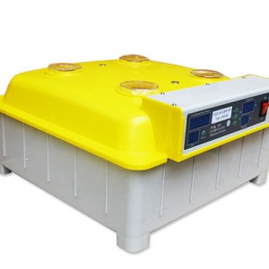 48 automatic egg incubator with 1year warranty and free delivery