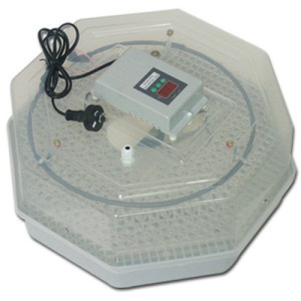 brand incubators with one year warranty