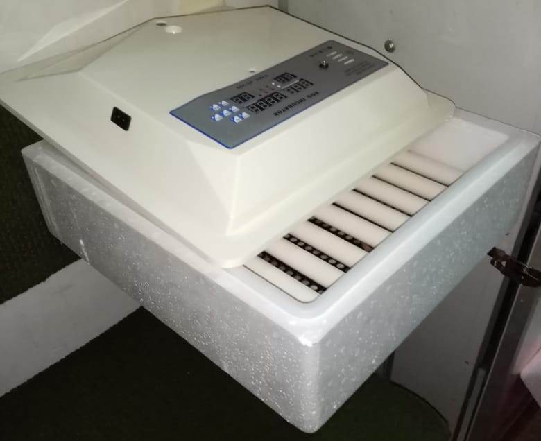 Egg incubators in Eldoret