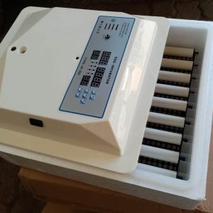 56 eggs incubator
