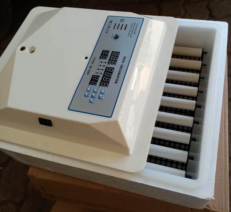 56 eggs incubator