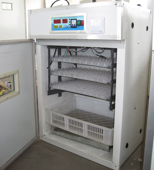 Eggs incubator