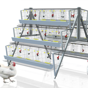 battery cages