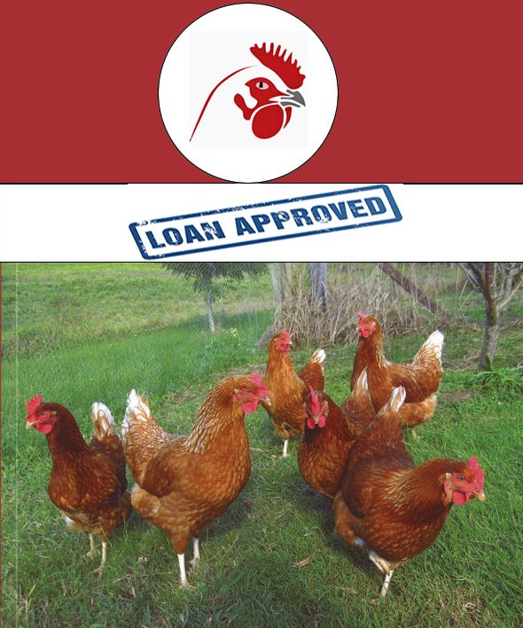 capital for your poultry farm