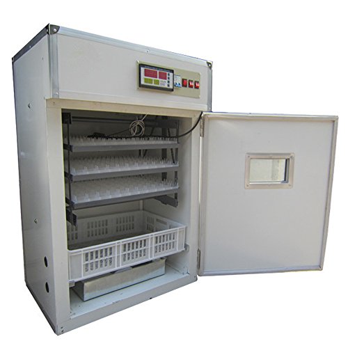 kenchic incubators