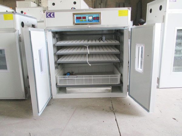 Incubator for haching poultry 264 capacity