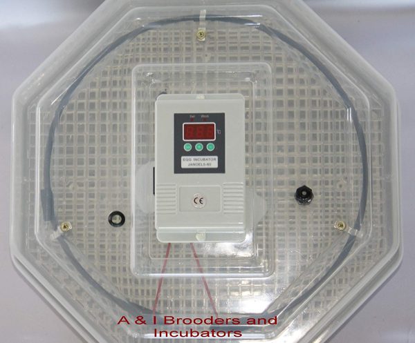 egg incubators for sale in kenya
