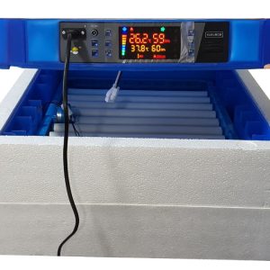 ECO 200 Eggs Capacity Double Function Incubator