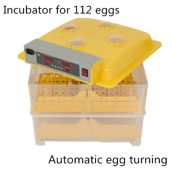 best automatic egg incubator