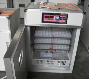 Hatching incubator for 264 capacity with auto functioning