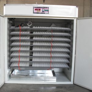 eggs incubator price