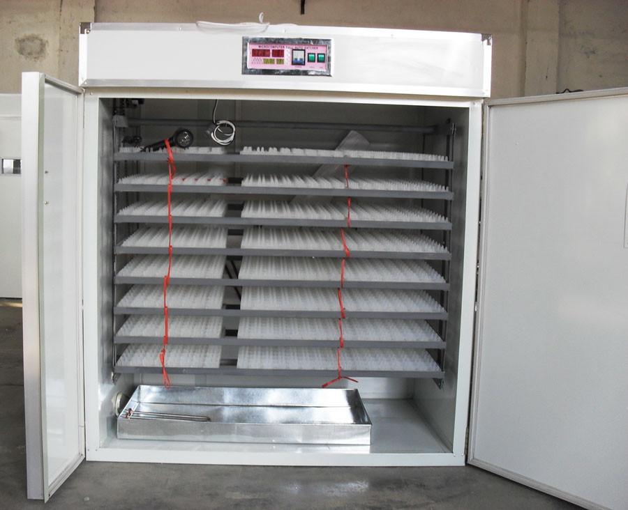 eggs incubator price