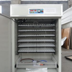 kenchic incubator