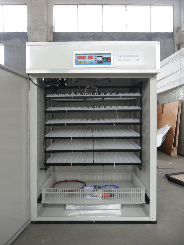 kenchic incubator