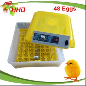 48 capacity incubator