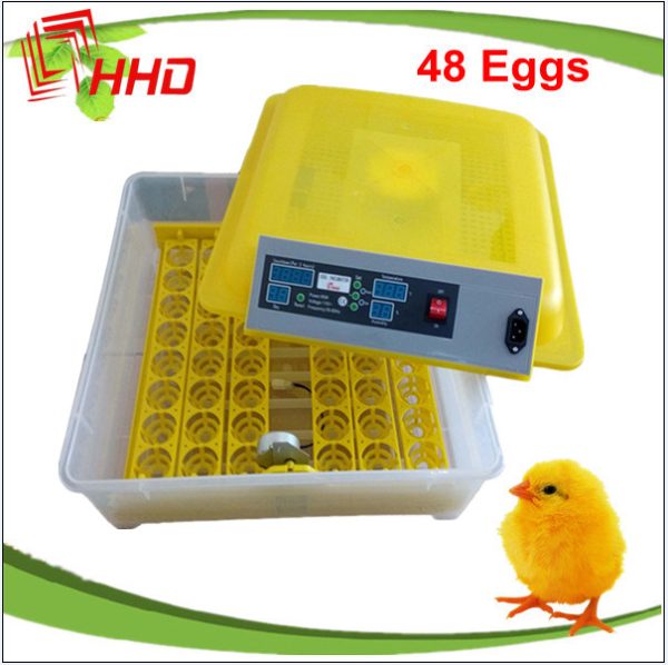 48 capacity incubator