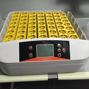 incubators with best price