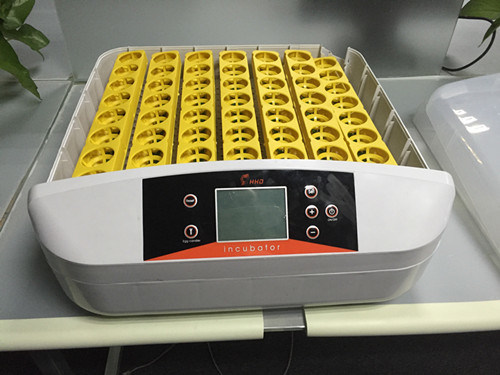 incubators with best price