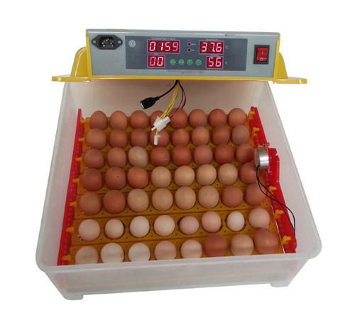 56 newest fully automatic egg incubator with digital apparators and controllers