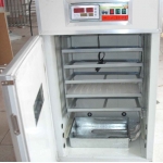 528 brand new fully automatic egg incubator for hatching all poultry kind