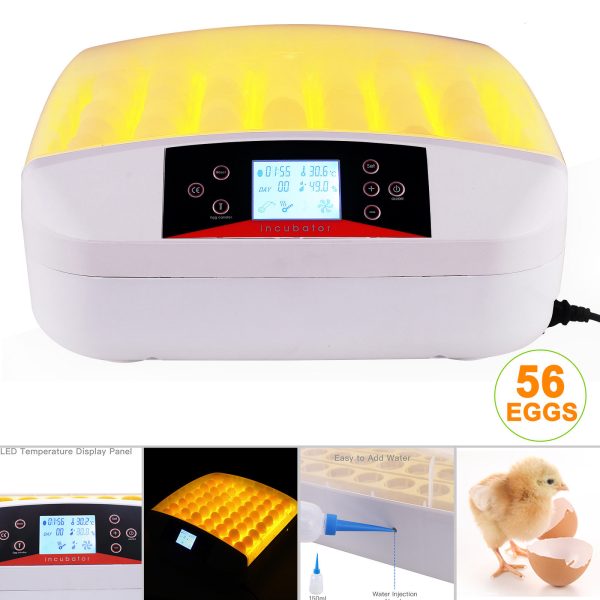 56 capacity auto incubator,ac/dc with digital displays of temperature,humidity and count down