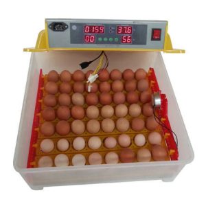 56 automatic egg incubator with rollers and in built egg candler