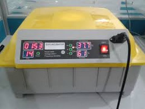 64 new make automatic egg incubator with auto turnings and digital controllers