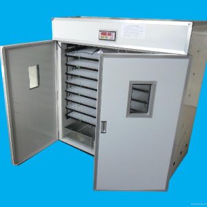Digital 2112 Eggs Automatic Hatchery power 600w/ 240v AC Automatic Incubator