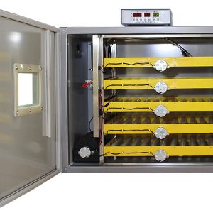 300 solar egg incubator