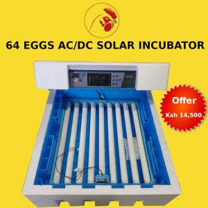 64 Eggs Imported solar power AC/DC  fully automatic hatchery
