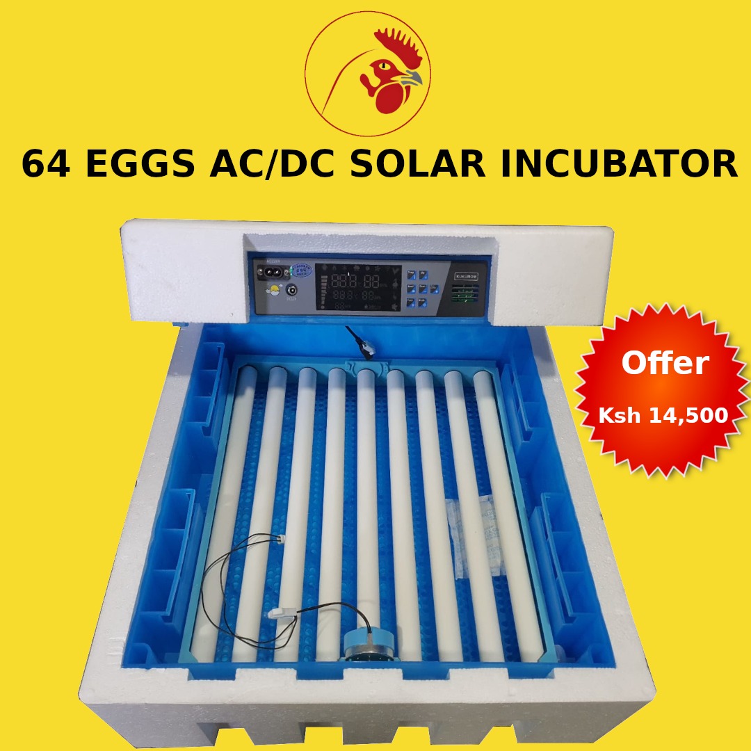 64 Eggs Imported solar power AC/DC fully automatic hatchery