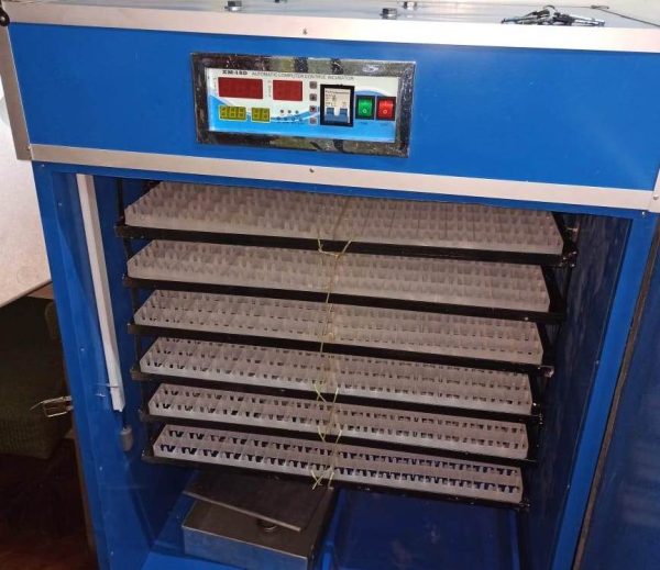 New model 1056 Eggs fully automatic hatchery