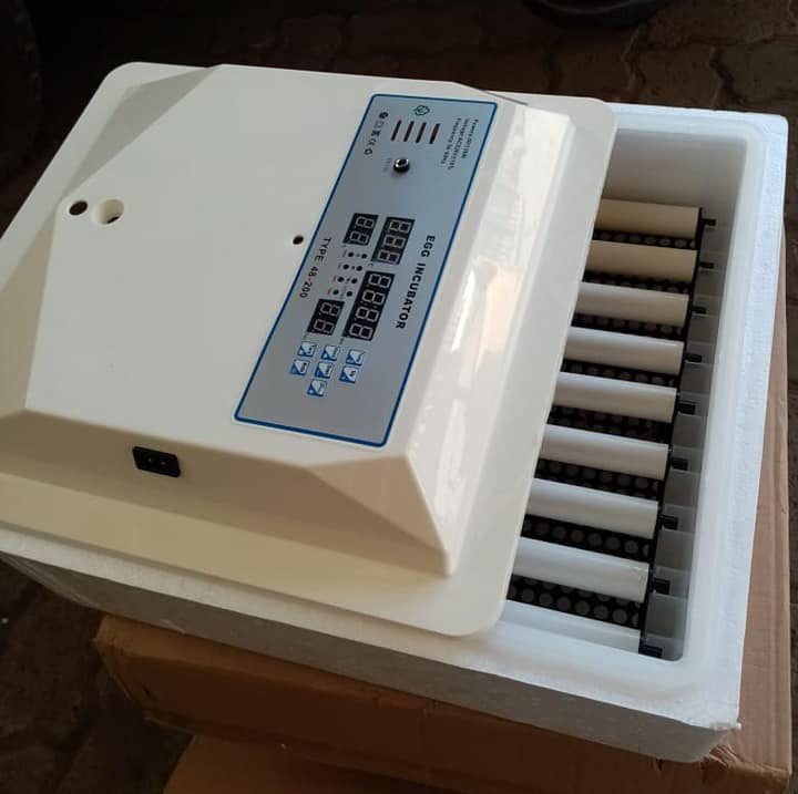 incubator for sale in nakuru