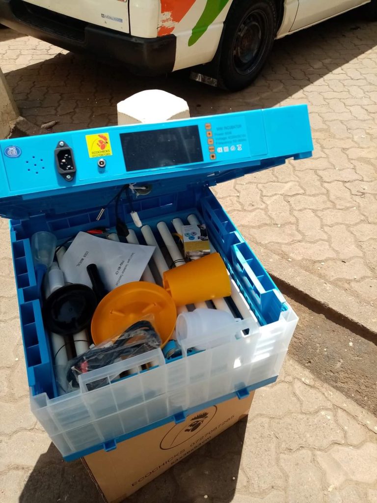 egg incubators with low prices