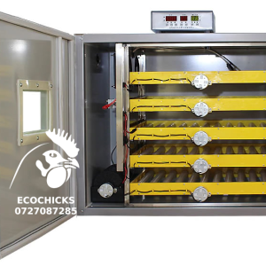 300 solar egg incubator