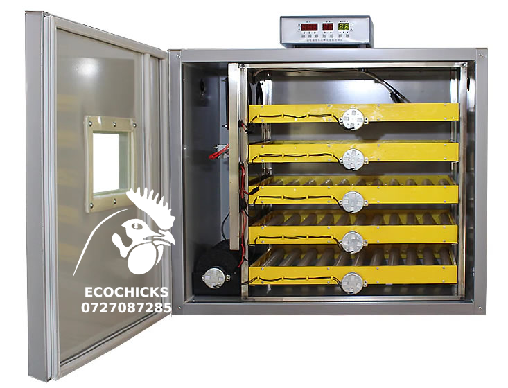 300 solar egg incubator