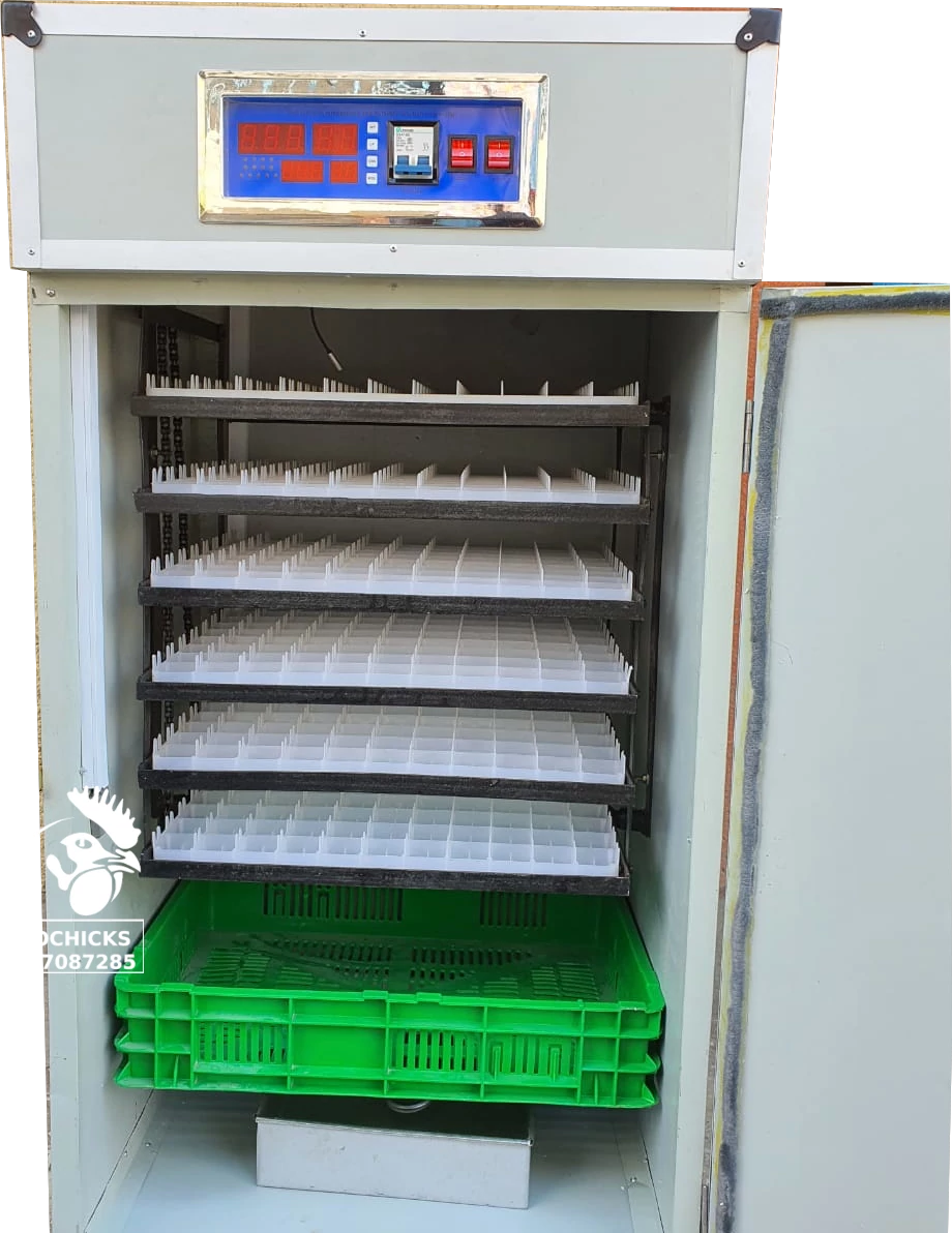New Genuine 528 Eggs Commercial Automatic Hatchery