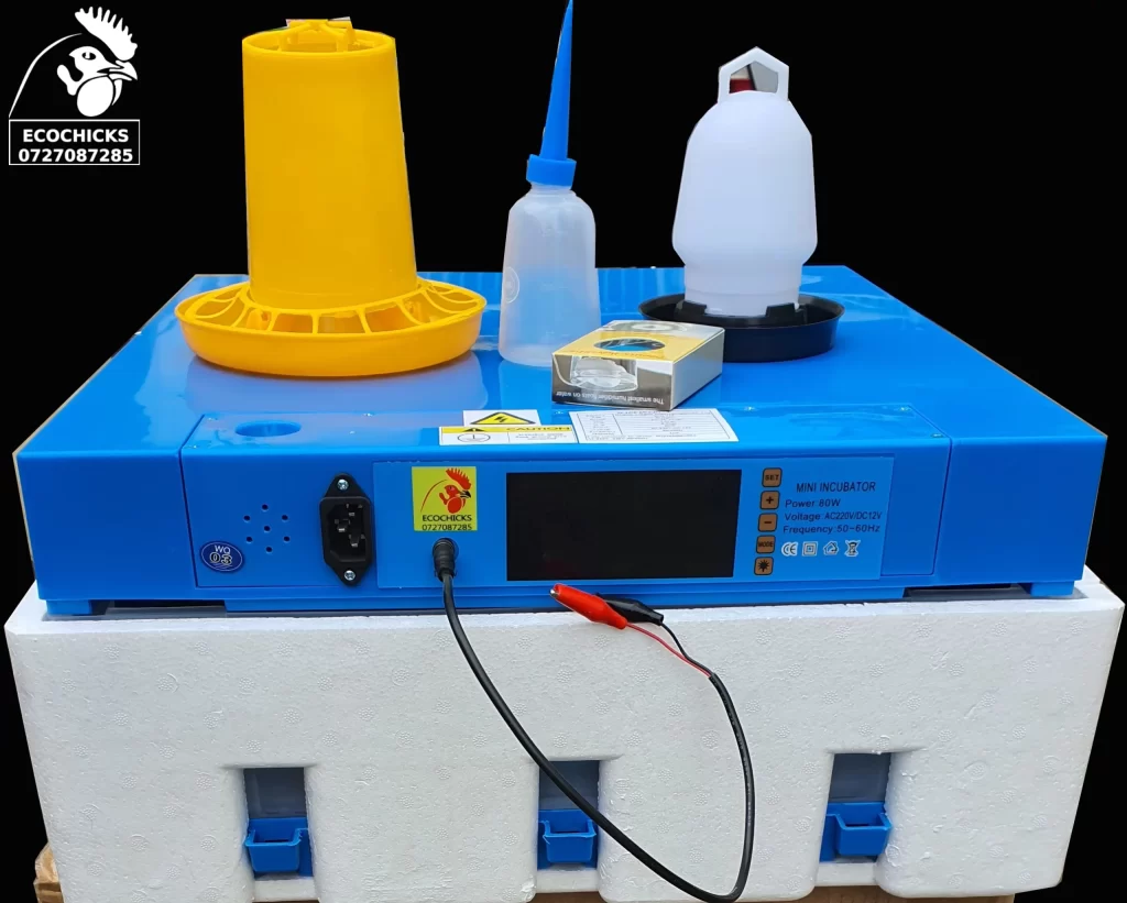 Second hand incubator