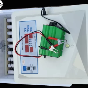 60 Eggs semi-auto automatic control of temperature and humidity