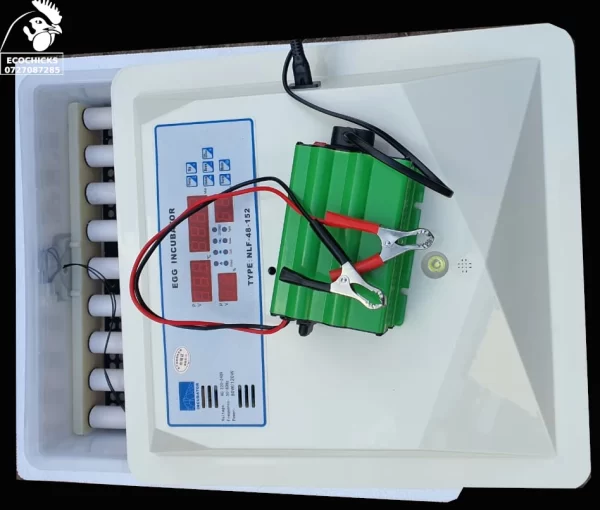 60 Eggs semi-auto automatic control of temperature and humidity
