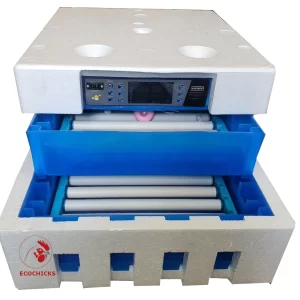 Egg incubator fully automatic 128 Eggs hatchery AC/DC power mini automatic incubator