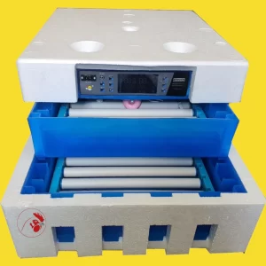 128 eggs incubator
