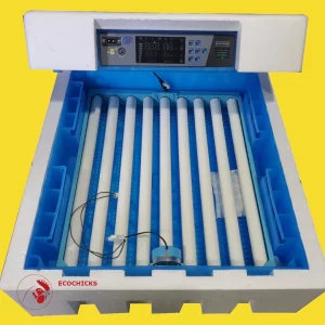 64 Chicken Eggs Solar Incubator