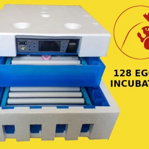 128 Automatic Eggs Solar Incubator