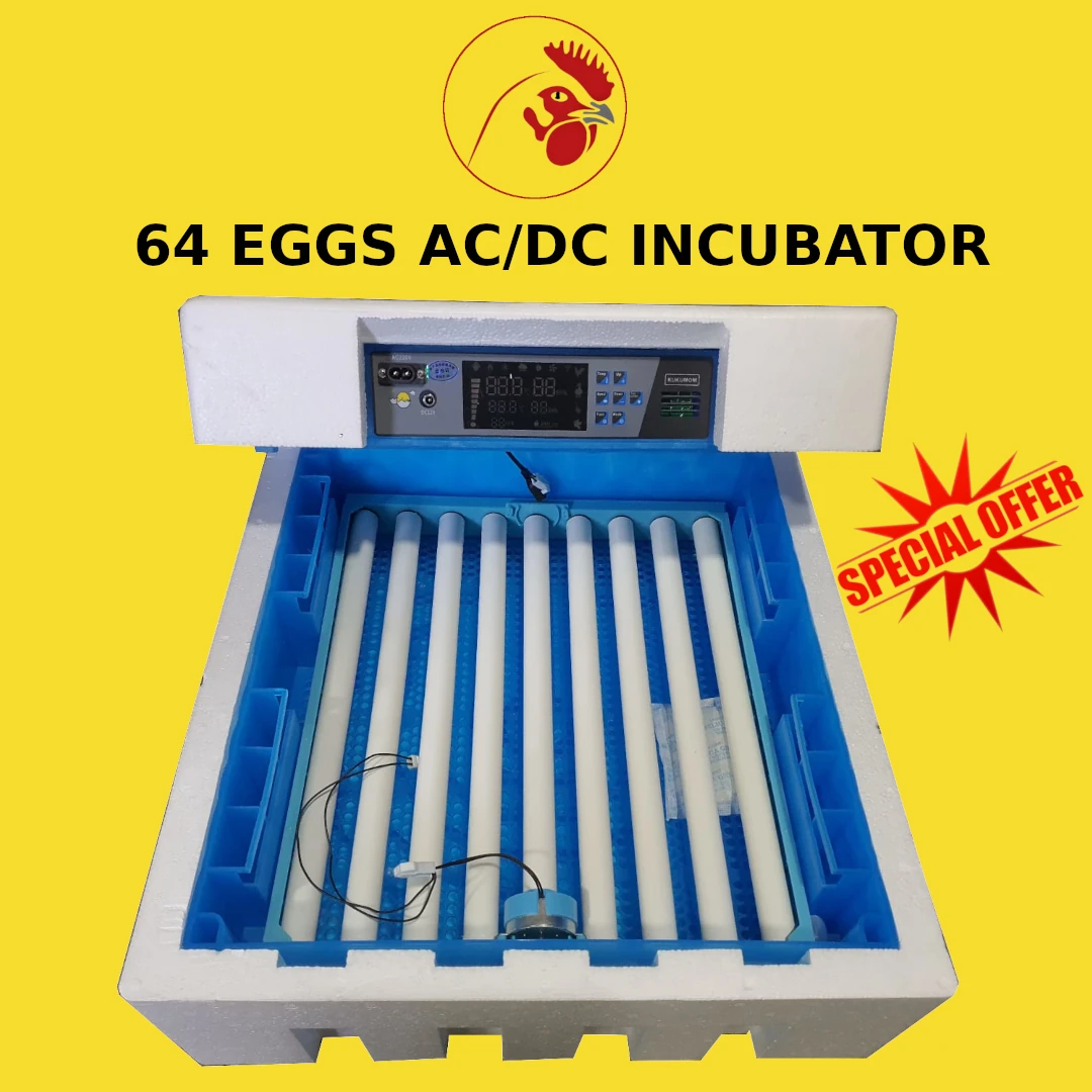 64 Eggs Imported solar power AC/DC fully automatic hatchery - Image 2