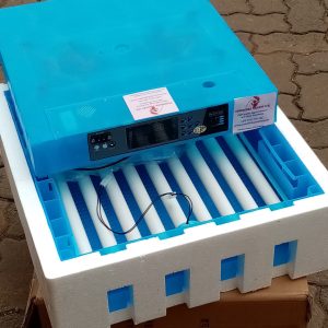 64 Eggs Roller type fully automatic hatchery